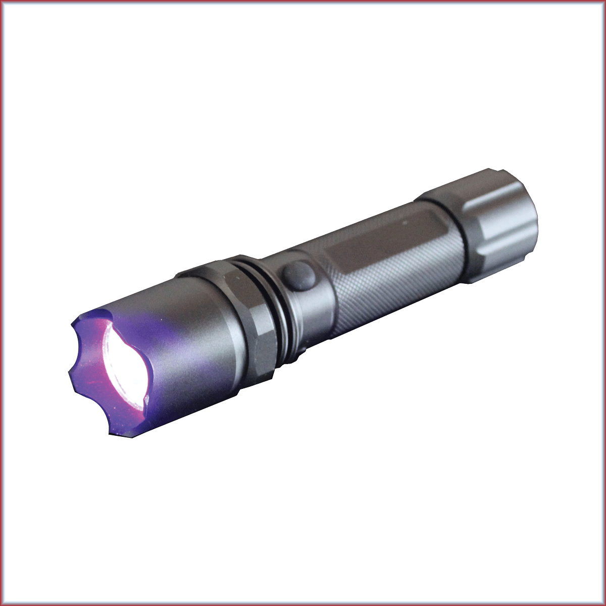 Pro-Pest LED UV Rechargeable Flashlight