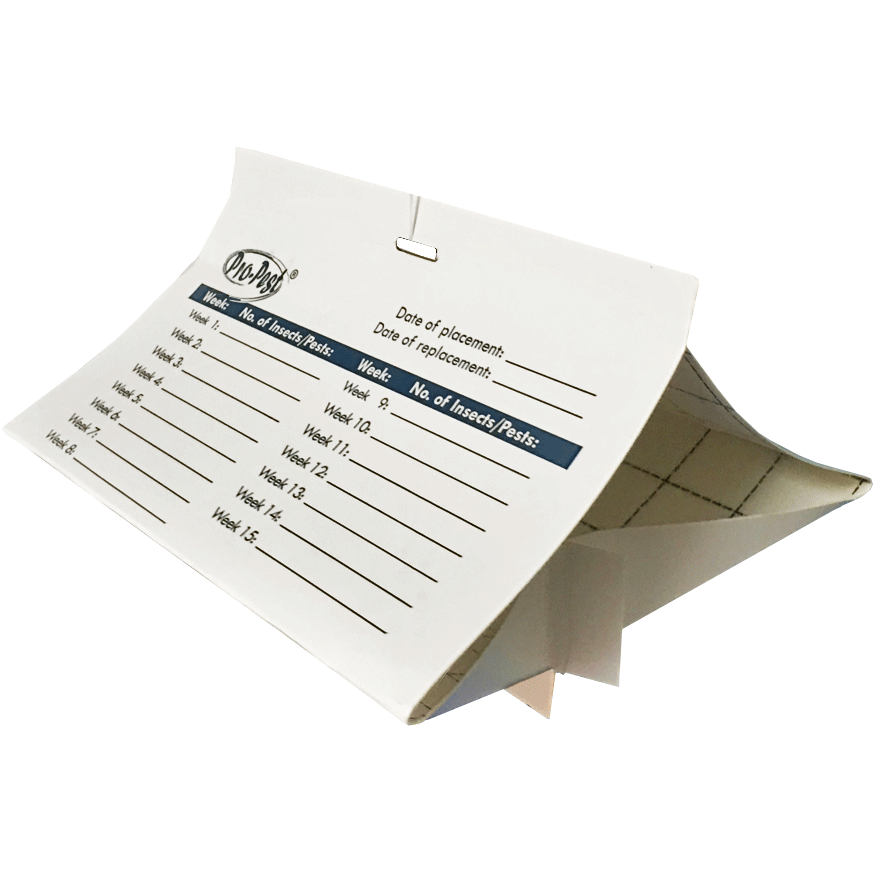 Pro-Pest Safestore Diamond Traps - Image 2