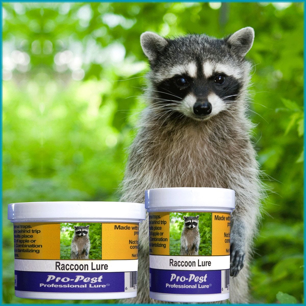 Pro-Pest Raccoon Lure - Prof 4 oz Jars -10ct - Image 3