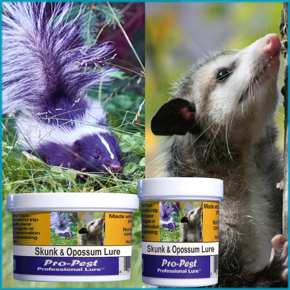 Pro-Pest Skunk & Opossum Lure -Prof 4 oz Jars -10ct - Image 3