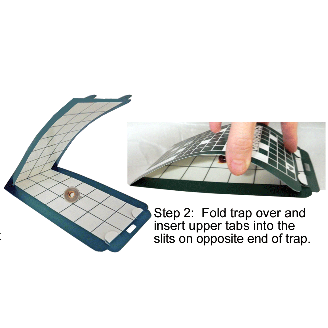 Tobaguard Tobacco Insect Traps - Image 3