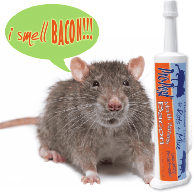 Pro-Pest Rat & Mouse Lure, Mouth Waterin Bacon- 32 cc Syringes