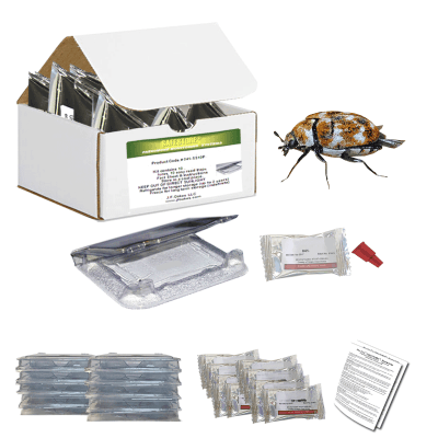 Pro-Pest Safestore Kit- Varied Carpet Beetle