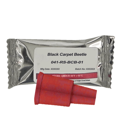 Pro-Pest Safestore Pheromone Lure- Black Carpet Beetle