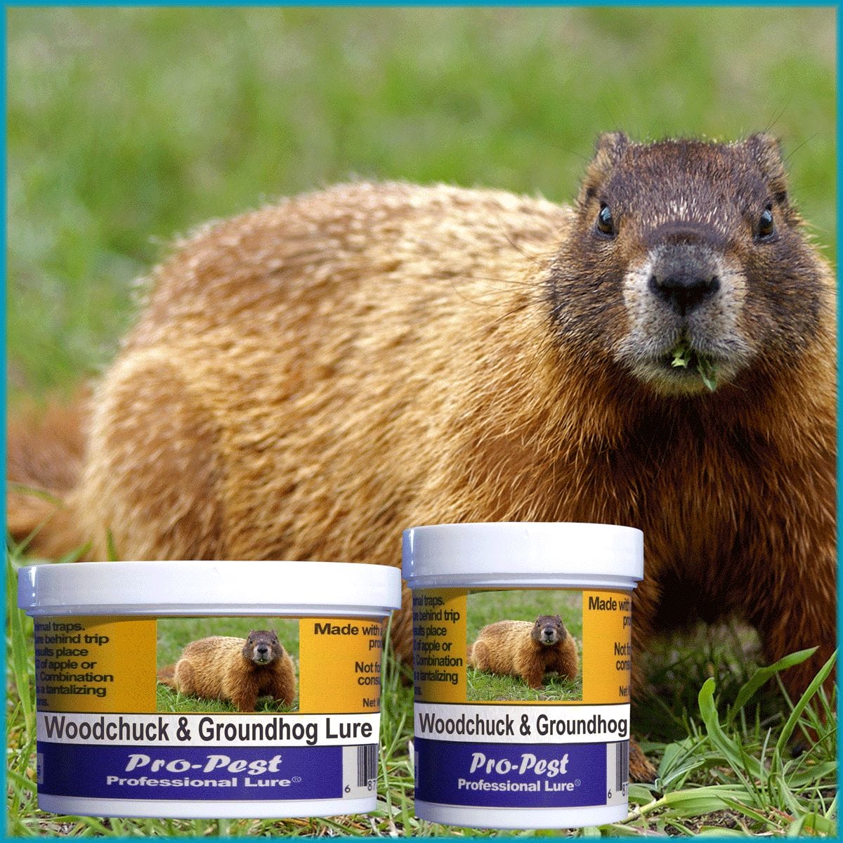 Pro-Pest Woodchuck/Groundhog Lure - Prof 8 oz Jars - 8ct - Image 3